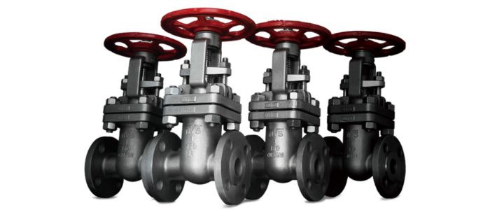 Alloy Valves Weight Chart In Kg, Mm, Pdf