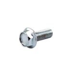 Hex Flange Bolt